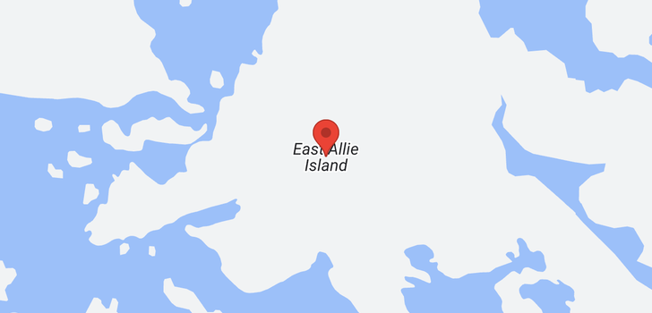 map of 0 East Allie Island